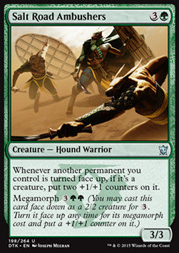 Salt Road Ambushers