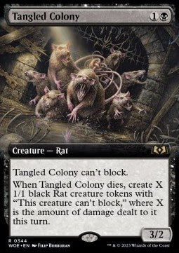 Tangled Colony