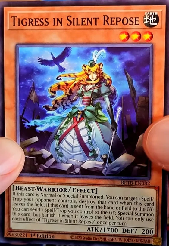 BETB-EN082 - Tigress in Silent Repose - Common - Beyond the Brave