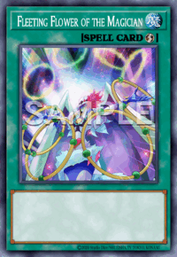 DOOD-EN089 - Fleeting Flower of the Magician - Common - Doom Of Dimensions