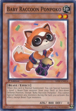Baby Raccoon Ponpoko
