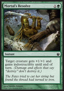 Mortal's Resolve