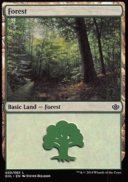 Forest (V.2)