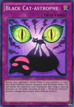 Black Cat-astrophe