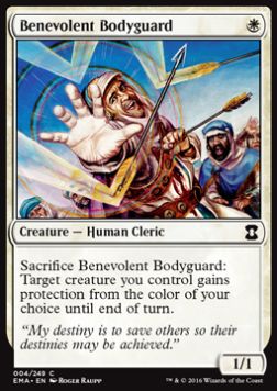 Benevolent Bodyguard