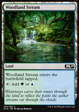 Woodland Stream