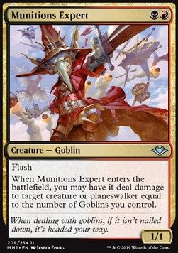 Munitions Expert