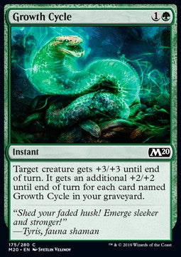 Growth Cycle