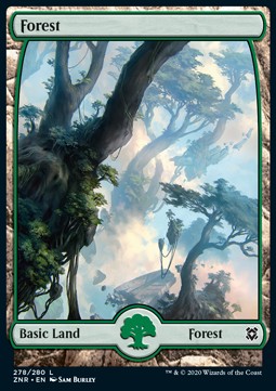 Forest (V.1)