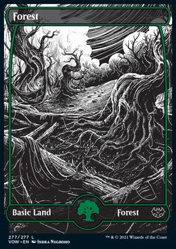 Forest (V.2)