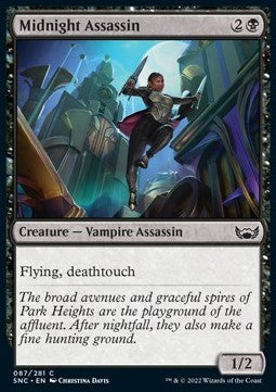 Midnight Assassin