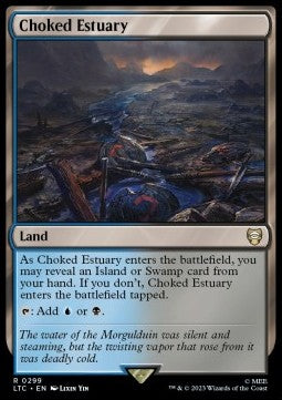 Choked Estuary