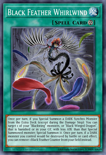 EN195 - MP23-EN195 - Black Feather Whirlwind - Common - Continuous Spell - 25th Anniversary Duelist Heroes Tin