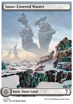 Snow-Covered Wastes