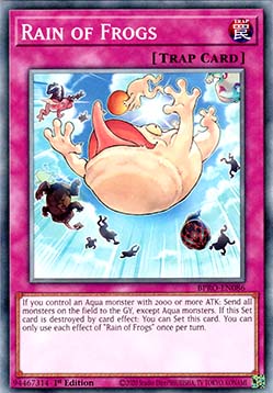 Rain of Frogs