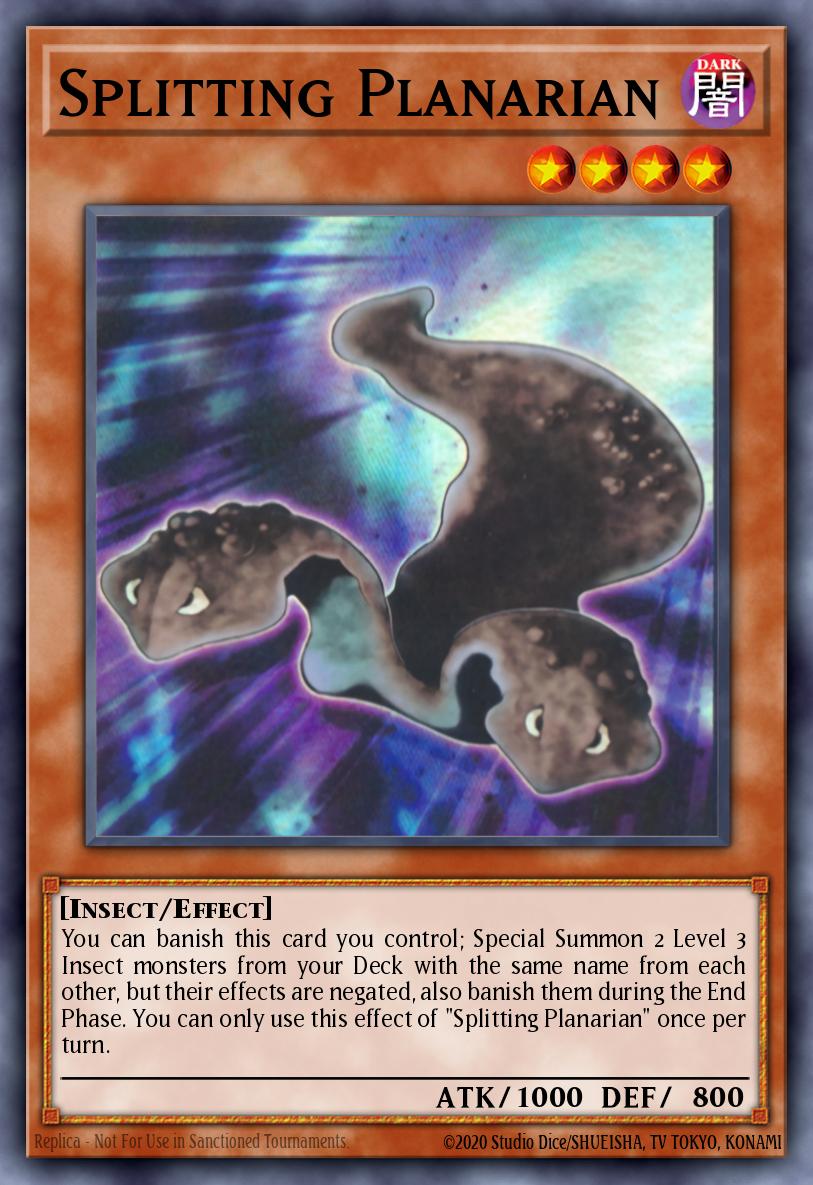 Splitting Planarian Card