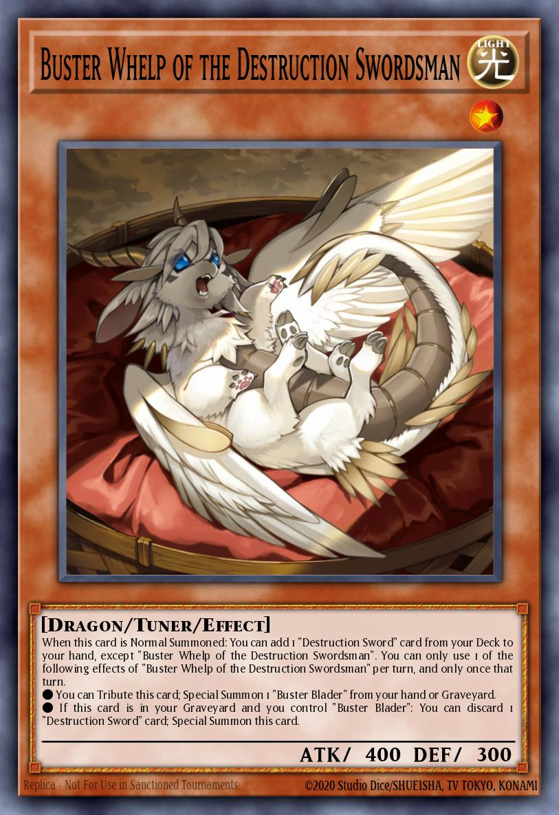 Buster Whelp of the Destruction Swordsman Card