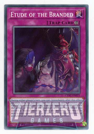 CYAC-EN071 - Etude of the Branded - Common - Cyberstorm Access