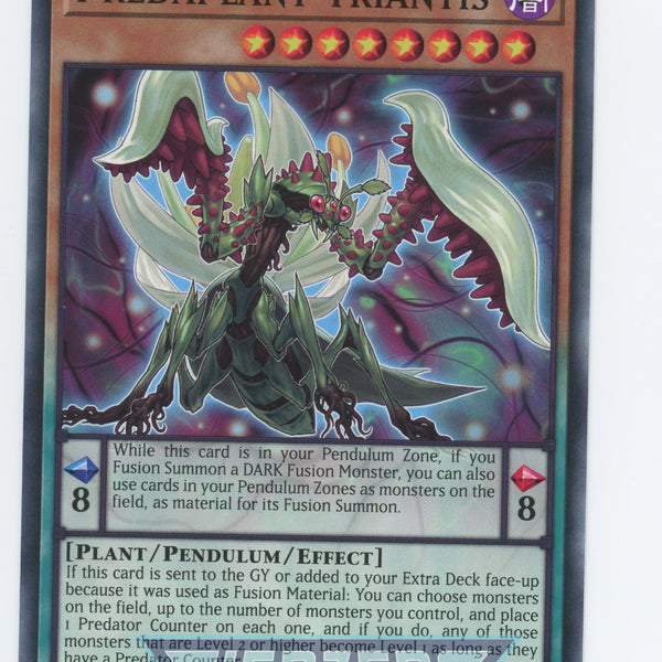 DIFO-EN019 - Predaplant Triantis - Common - Effect Pendulum Monster - Dimension Force Pre Order DIFO-EN019 - Predaplant Triantis - Common - Effect Pendulum Monster - Dimension Force Pre Order