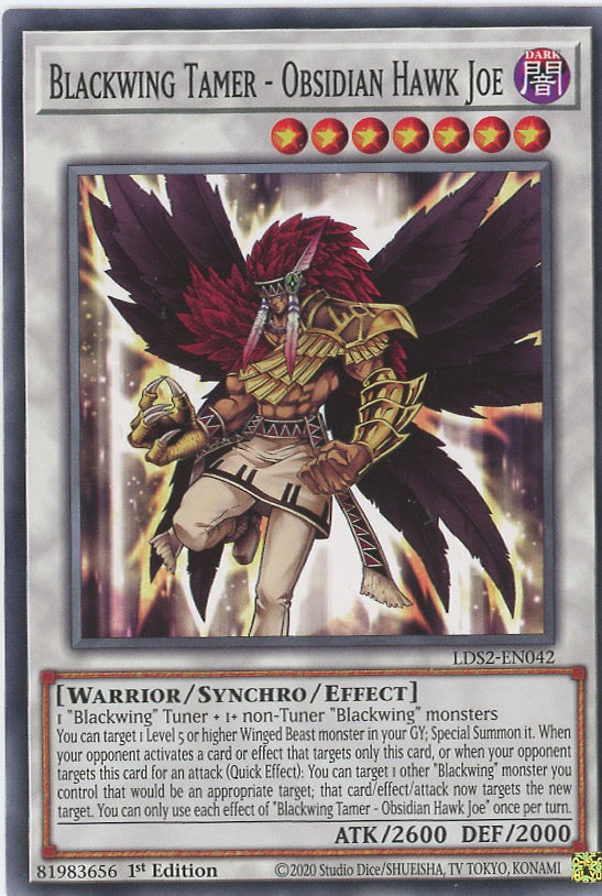 LDS2-EN042 - Blackwing Tamer - Obsidian Hawk Joe - Common - Effect Synchro Monster - Legendary Duelists Season 2