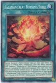 MP20-EN179 - Salamangreat Burning Shell - Common - Quick-Play Spell - Mega Pack 2020