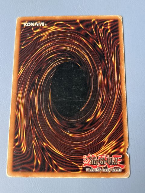 Damaged, back